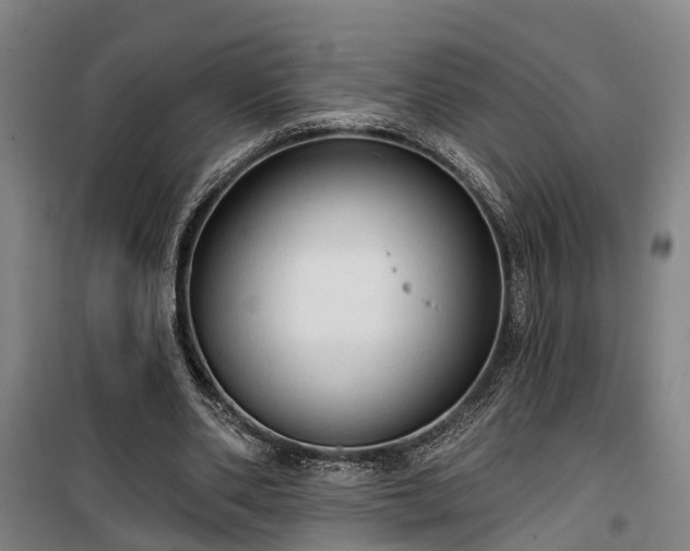 X0000100330486200806121131