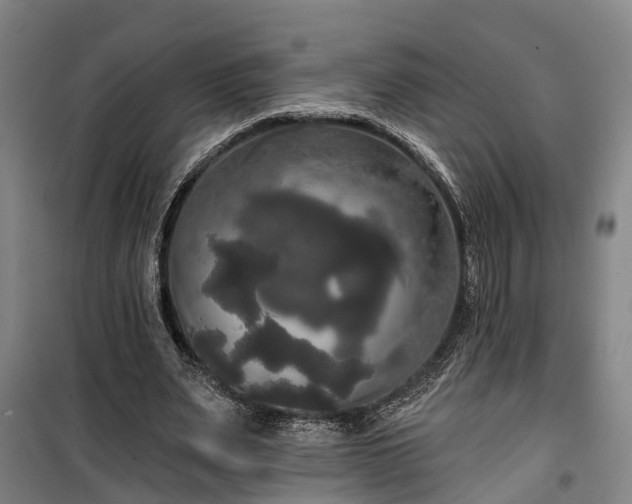 X0000100330487200806121131