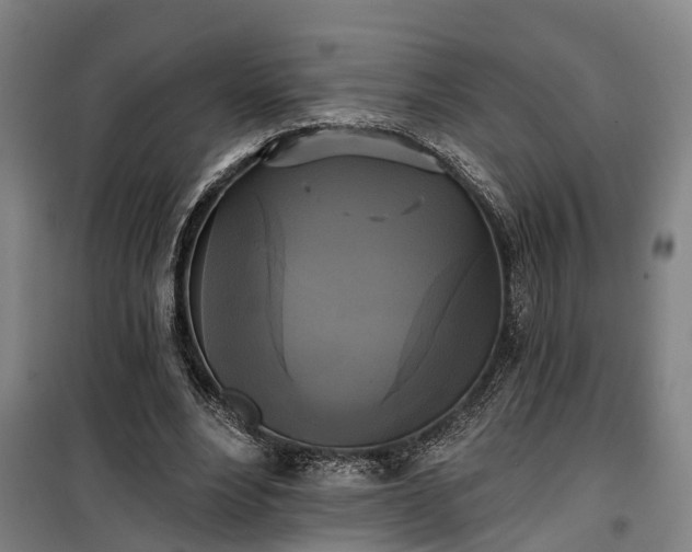 X0000100330488200806121131