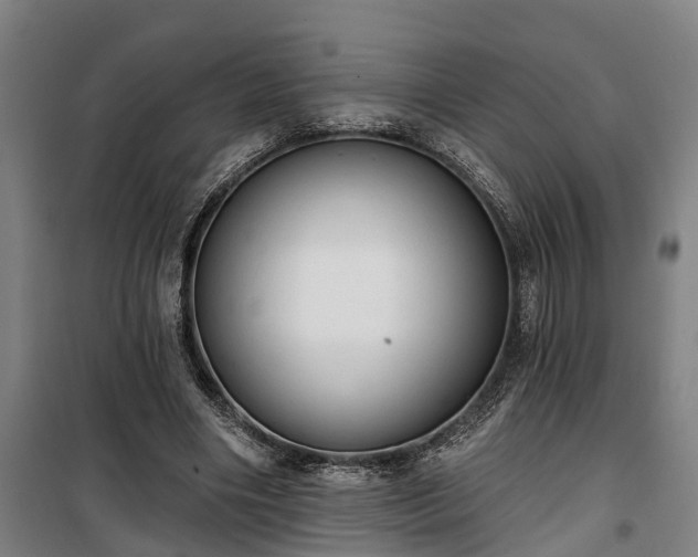 X0000100330490200806121131