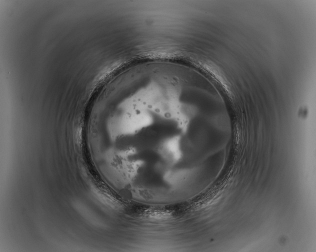 X0000100330491200806121131