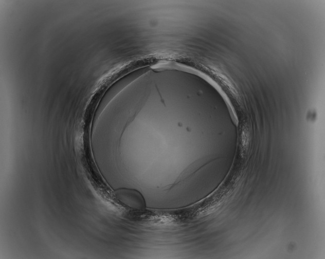 X0000100330492200806121131