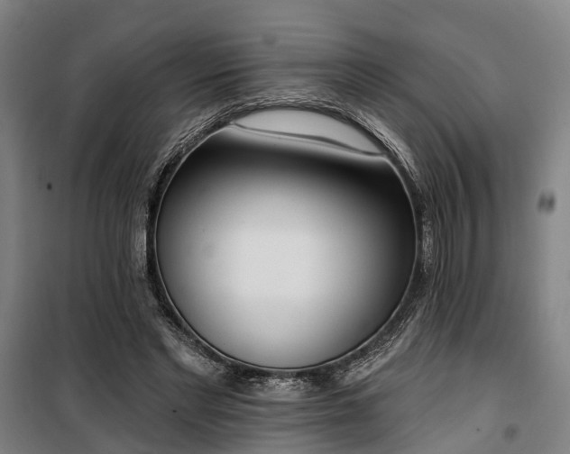 X0000100330493200806121131