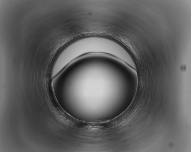 X0000100330495200806121131