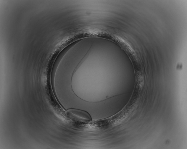 X0000100330496200806121131