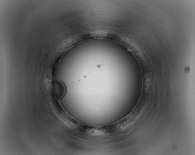 X0000100330498200806121131