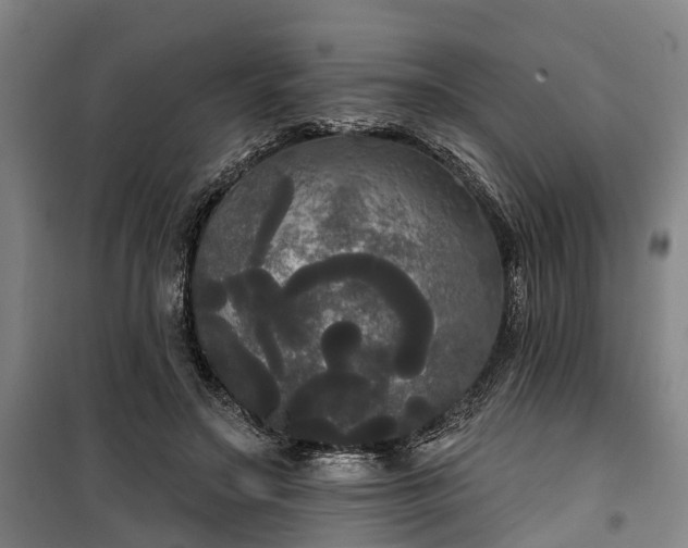 X0000100330499200806121131