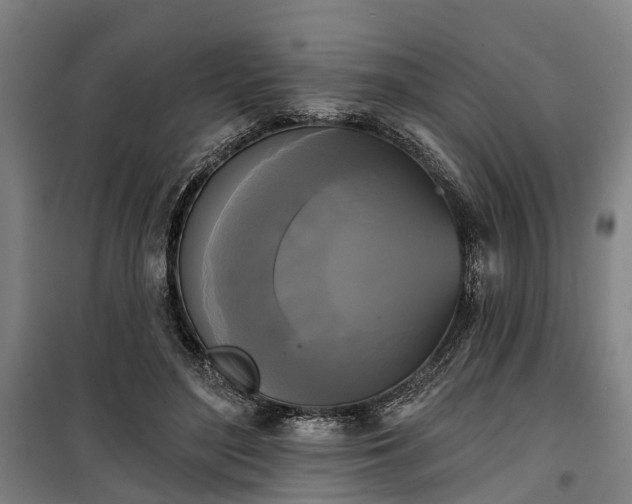 X0000100330500200806121131