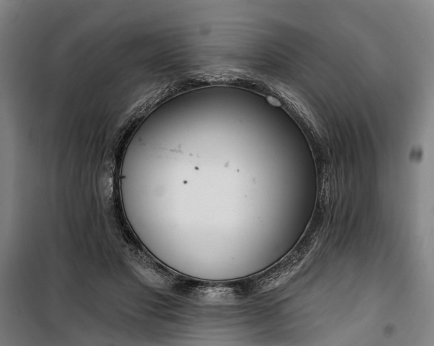 X0000100330501200806121131