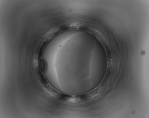 X0000100330504200806121131