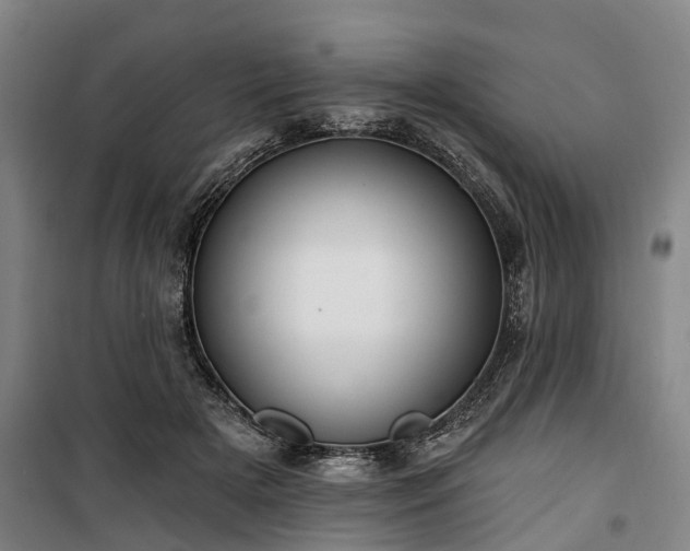 X0000100330505200806121131