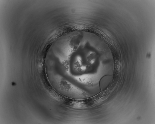 X0000100330507200806121131