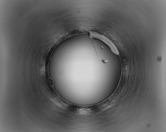 X0000100330508200806121131