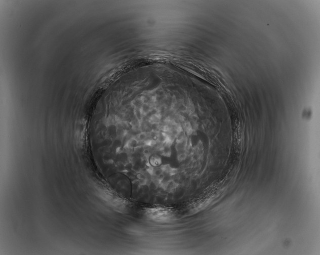 X0000100330511200806121131