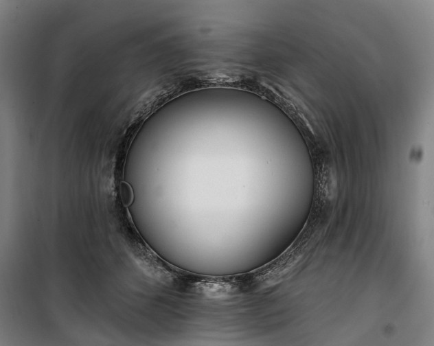 X0000100330512200806121131