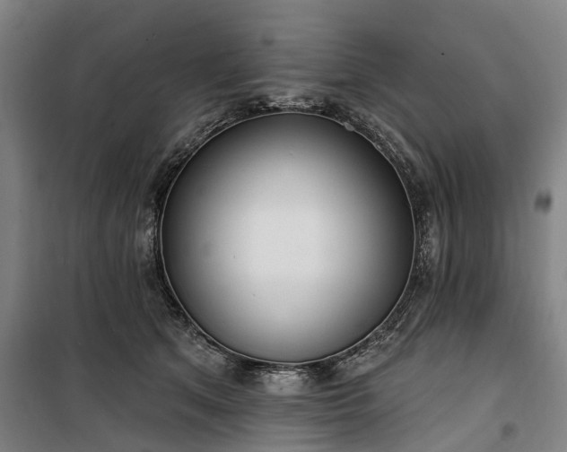 X0000100330513200806121131