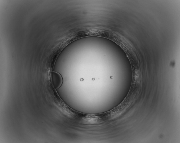 X0000100330514200806121131