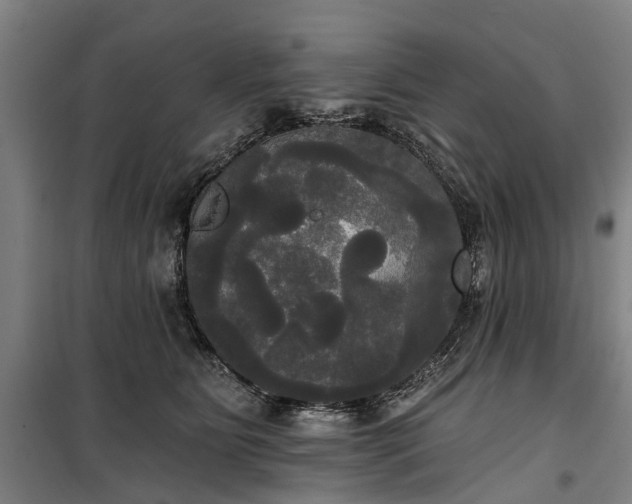 X0000100330515200806121131