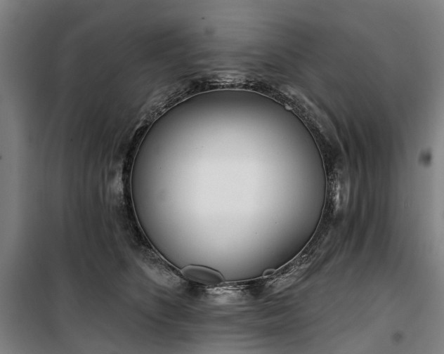 X0000100330516200806121131