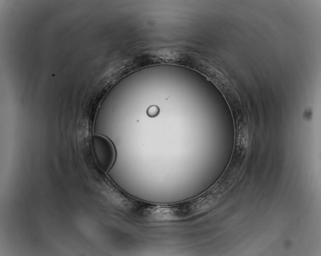 X0000100330518200806121131