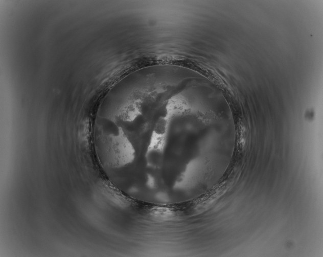 X0000100330519200806121131