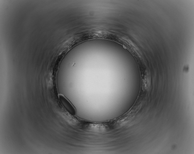 X0000100330520200806121131