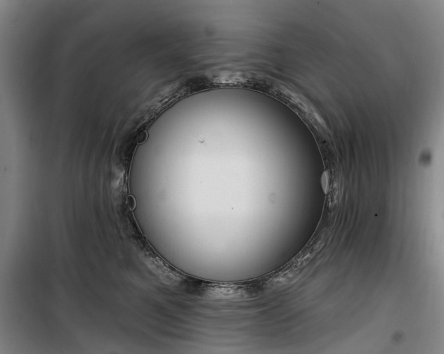 X0000100330521200806121130