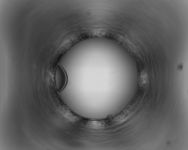 X0000100330522200806121130