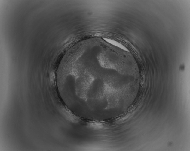 X0000100330523200806121130