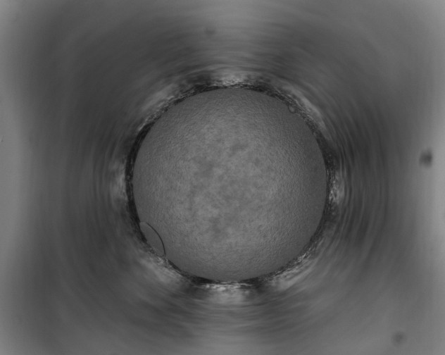 X0000100330524200806121130