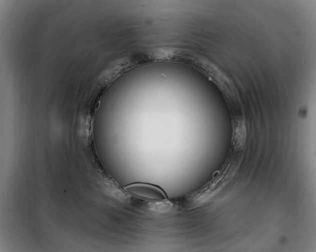 X0000100330525200806121130