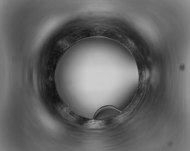 X0000100330526200806121130