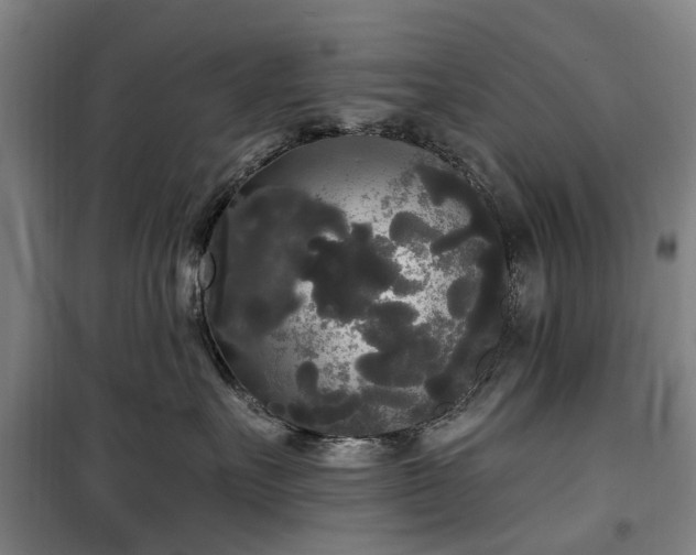 X0000100330527200806121130