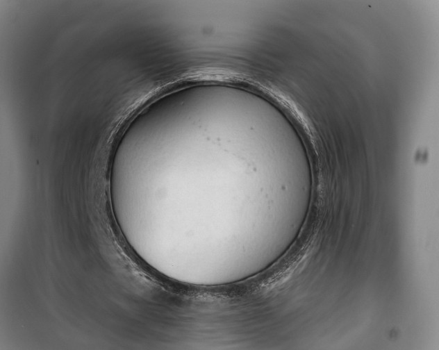 X0000100330529200806121130