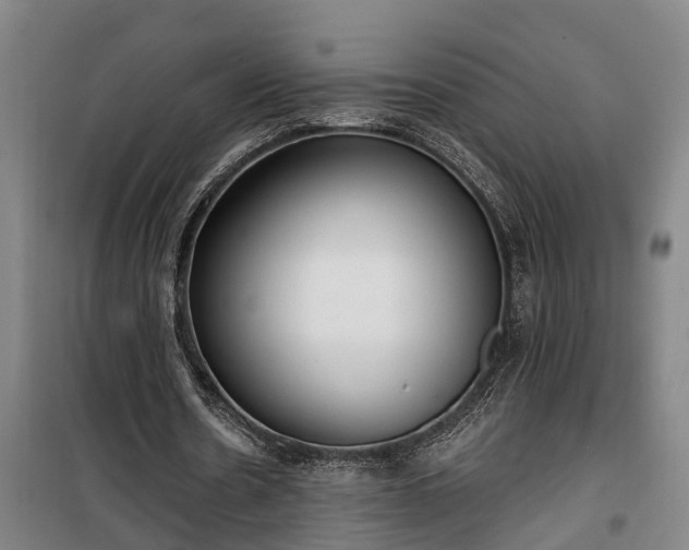 X0000100330530200806121130