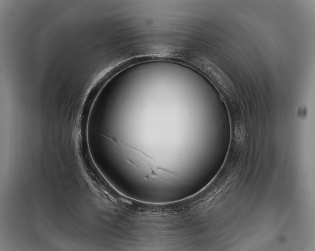 X0000100330532200806121130