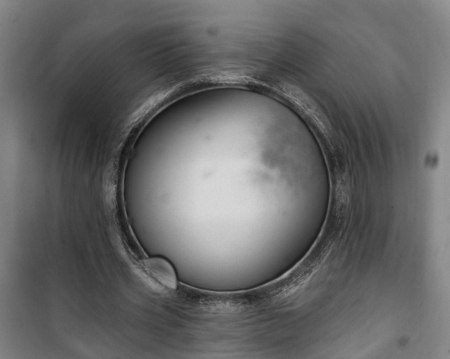 X0000100330533200806121130