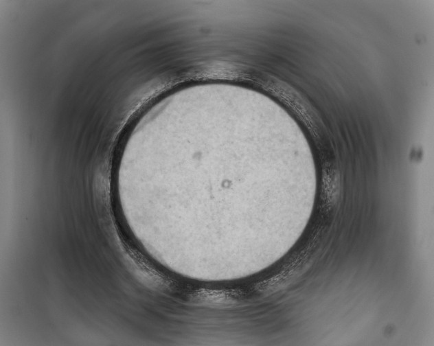 X0000100330534200806121130