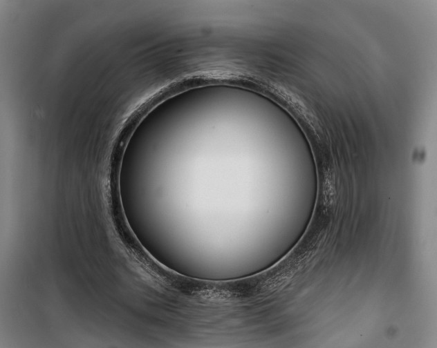 X0000100330535200806121130