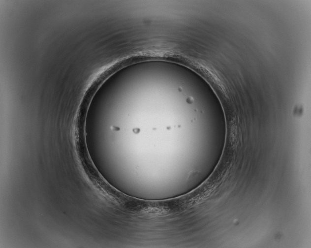 X0000100330536200806121130