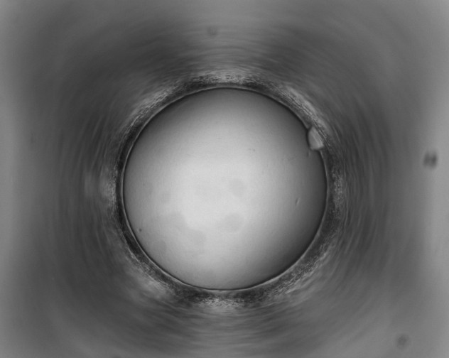 X0000100330537200806121130