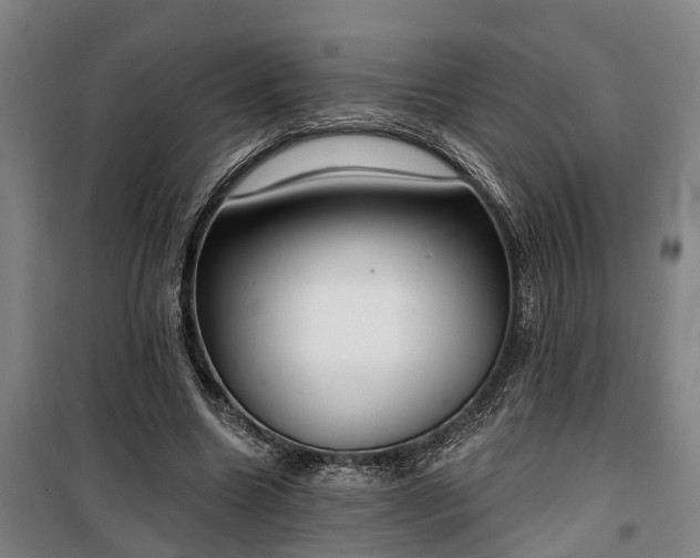 X0000100330538200806121130