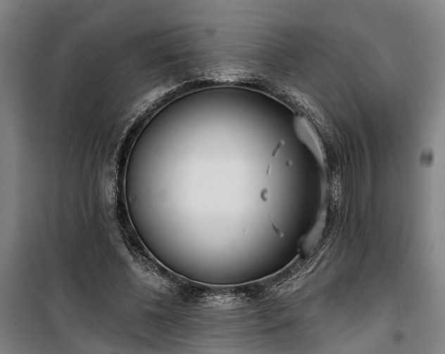 X0000100330540200806121130