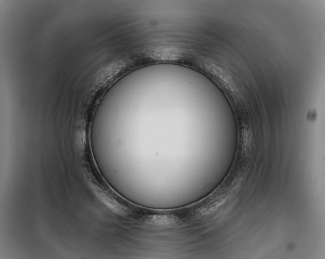 X0000100330541200806121130