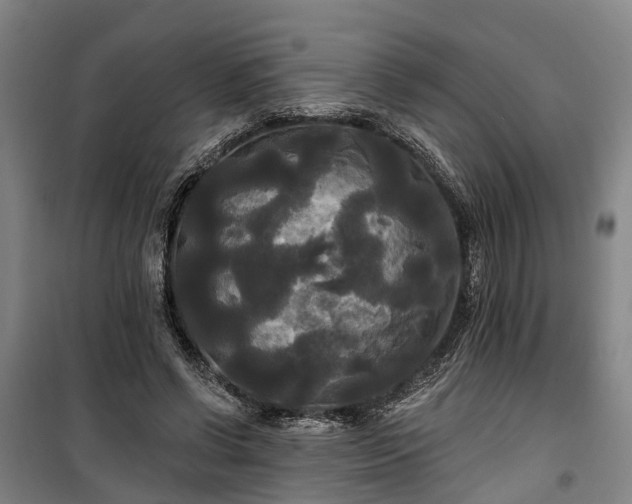 X0000100330542200806121130