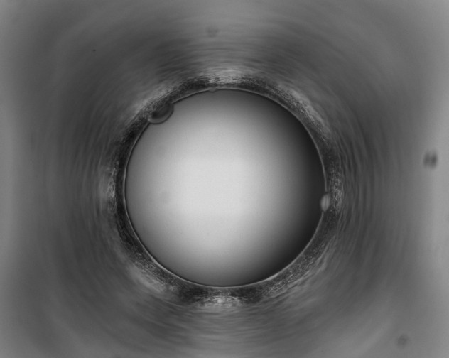 X0000100330543200806121130