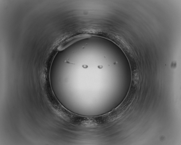 X0000100330544200806121130