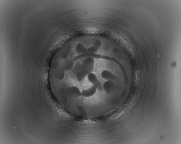 X0000100330545200806121130