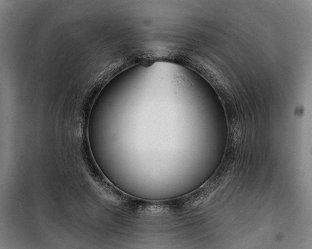 X0000100330546200806121130