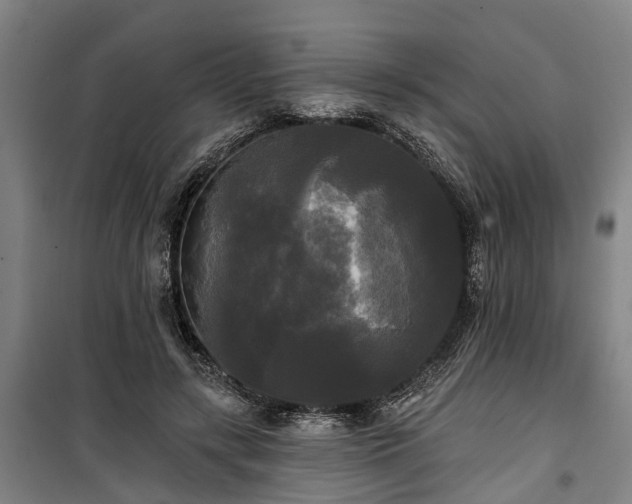 X0000100330547200806121130